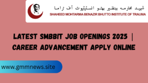 Latest SMBBIT Job Openings 2025 | Career Advancement Apply Online